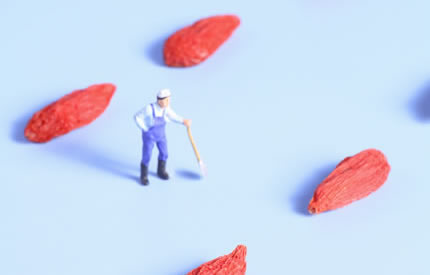 ��������轹���6